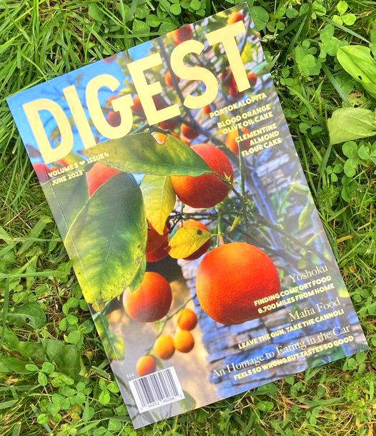 Digest Magazine: Volume 3, Issue 4