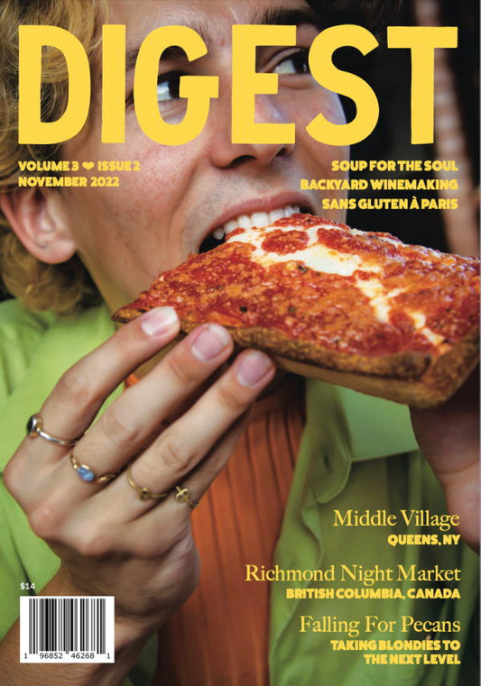 Digest Magazine, Volume 3 Issue 2