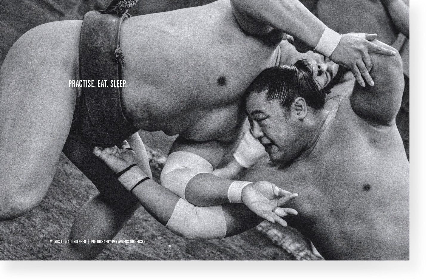 Fool #8: The Japanese Issue